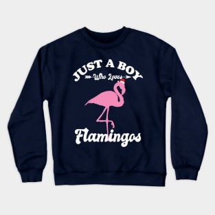 Just a Boy Who Loves Flamingos Crewneck Sweatshirt